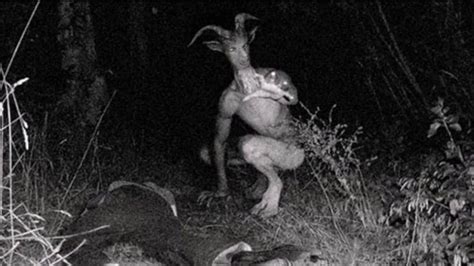 It all began on february 23, 2019 with a call for help from the greenfield village. The Goatman | FlaminTales Wiki | Fandom