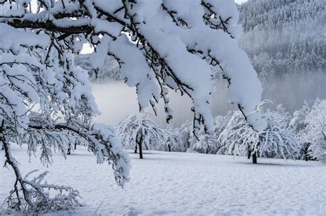 Home » sneeuw » sneeuwhoogte in de alpen » sneeuwhoogte zwitserland. Veel sneeuw die in Zwitserland en Oostenrijk laag valt ...