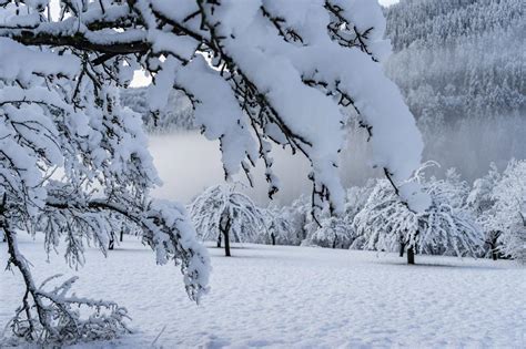 Van ieder dorp in oostenrijk staat de actuele sneeuwhoogte en de verwachte. Veel sneeuw die in Zwitserland en Oostenrijk laag valt ...