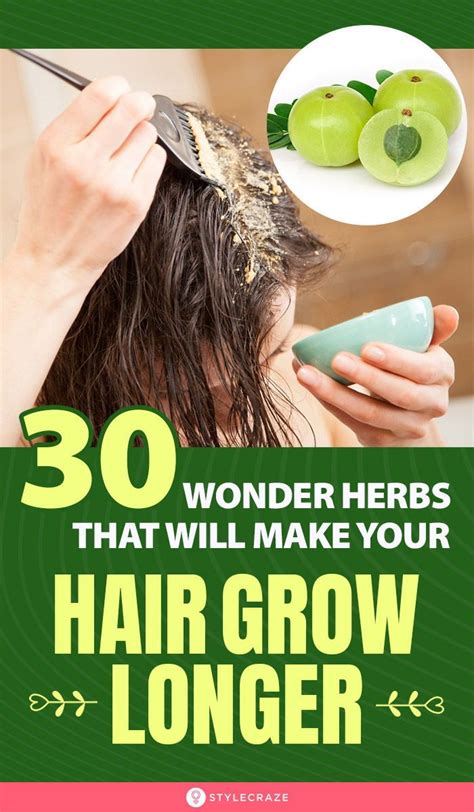 Best essential oils for hair growth, thickness, dry & damaged hair growing your hair naturally can really be challenging as it really takes time and effort just to gain a few inches of hair. 30 Natural Herbs For Hair Growth And Thickness in 2020 ...