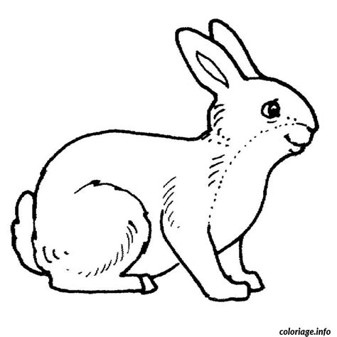 Coloriage lapin à imprimer dessin de lapin à colorier que des beaux lapins pour pâques ou pour les personnes qui adorent cet animal très mignon avec de très longues oreilles. Coloriage Lapin dessin