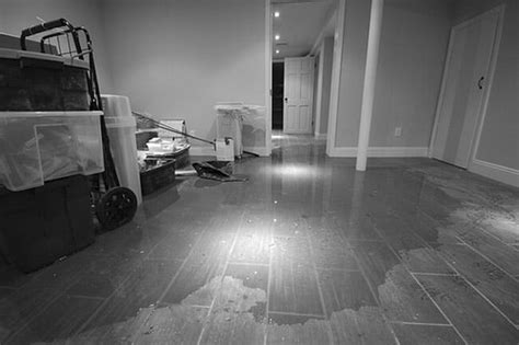 Could actually see the water coming up from three floor drain. What Causes a Backed Up Floor Drain?. Plumbers, Plumbing ...