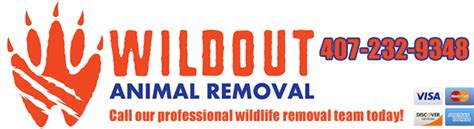 Critter & pest defense we provide the service that will kick these guys out for good, relocate them away from your home, repair the areas they have caused damage to and for sure, make your attic wildlife free. Apopka Wildlife Control Company, Orange County FL - Humane ...