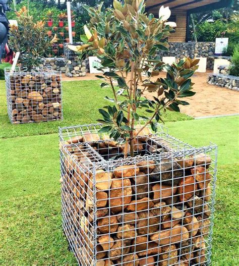 I too feel a lot more confident after reading your very detailed blog. Grand Gabion Planter | Commercial Gabions