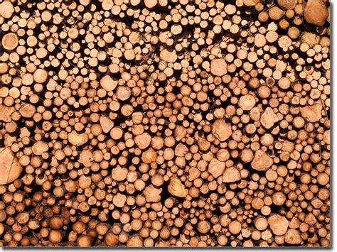 Klebefolie holzoptik folie holzoptik anwendung dekore resimdo lll➤ warum ersetzen, wenn sie ihre küche, schrank, kommode oder tür im handumdrehen durch eine folie in holzoptik runderneuern. Selbstklebende Folie in Holzoptik