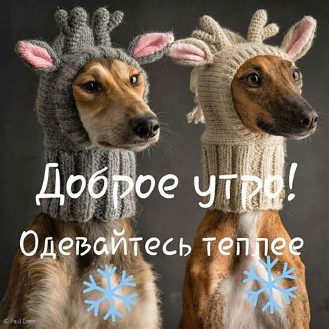 После заживления оставляют на щеках уродливые шрамы, которые напоминают широкую улыбку. Пин от пользователя Жанна Третьякова на доске 1 | Цитаты о ...