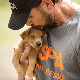 38+ Animal Rescue Jobs Los Angeles | Neduvaali