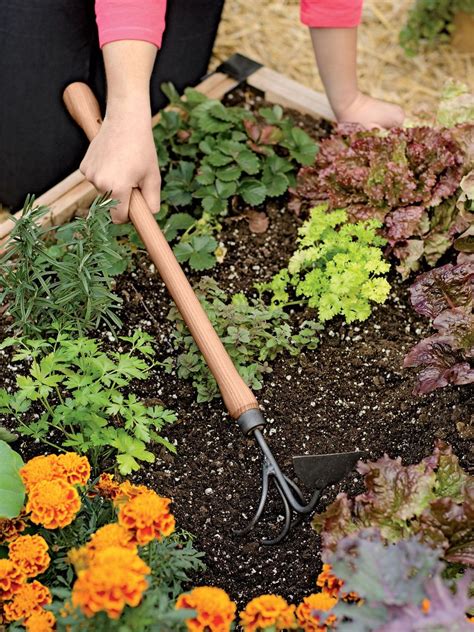 Good and healthy organic soil is the most important thing for healthy, nutritious vegetables. Lifetime Raised Bed Cultivator | Exclusively at Gardener's ...