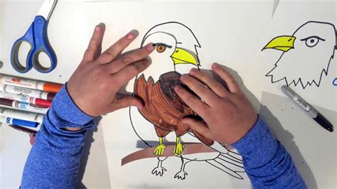 How to draw a eagle for kids | eagle drawing lesson step. How to Draw an Eagle - YouTube