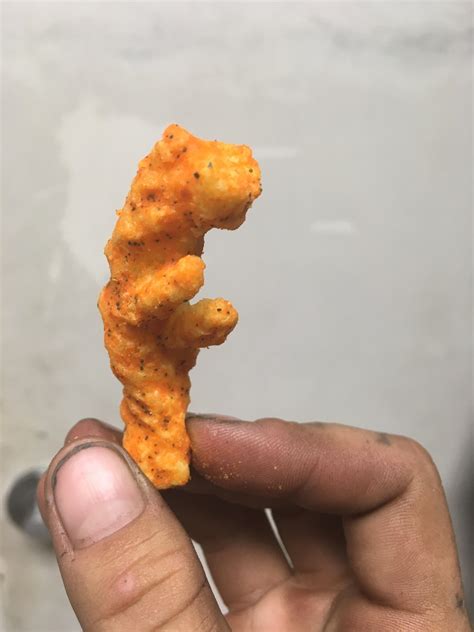 Just like flowers, cacti and succulents have their own symbolic meaning that you should know about. This Cheeto that looks like a cheeta : mildlyinteresting