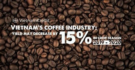 Global workforce population (2009, 2014, 2020): Vietnam's coffee industry: yield may decrease by 15% in crop season 2019 - 2020