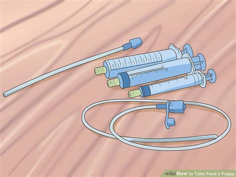 Well, they weren't doing so good so i brought them to the vet. How to Tube Feed a Puppy: 15 Steps (with Pictures) - wikiHow