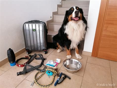 Check spelling or type a new query. Cosa mettere nella valigia del tuo cane - Walk to World