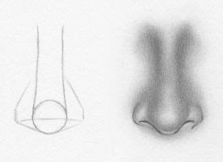 This tutorial has lots of drawings for you to choose from and it's very informative. How to draw a nose from the front - 7 easy steps | Nose ...