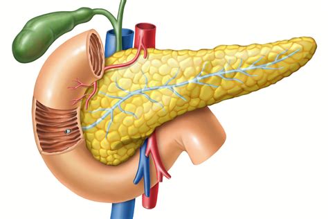 We only met 7 years ago and he became step dad to my three young children after their bio father abanonded us to live in china. Can Pancreatic Patients Have A Pancreas Transplant?