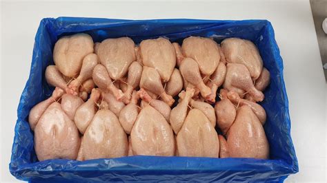 Since cod has fins and scales as judaism defines. Whole Chicken Grillers A grade Halal 10 x 1 Kilo -BE