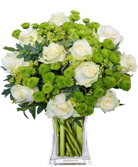 Bouquet di fiori rinomato su fondo bianco due rose rosse e un giglio bianco. Regala mazzo elegante di rose bianche e santini verdi ...