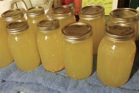 We did not find results for: Trash to Treasure: Canning Chicken Stock - Countryside