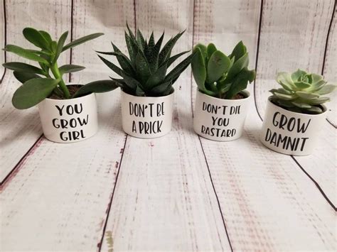 I share my plants on my instagram stories all the time and got a request to answer some questions about plant care. 30 Things For Anyone Who Needs A Little Humor In Their ...