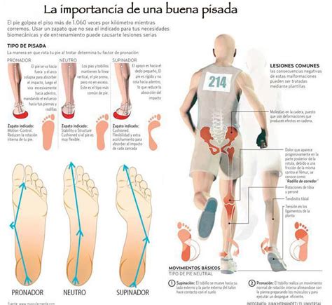 Todos estos detalles hacen que el tipo de pisada sea un factor muy importante a la hora de elegir unas zapatillas de running adecuadas. ESTUDIO DE LA PISADA - mariavillalbaquiromasaje