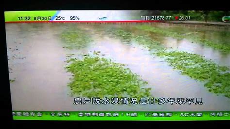 56760 12 3 4 5 6 7 8 9 10. 香港黃色暴雨警告水浸 - YouTube