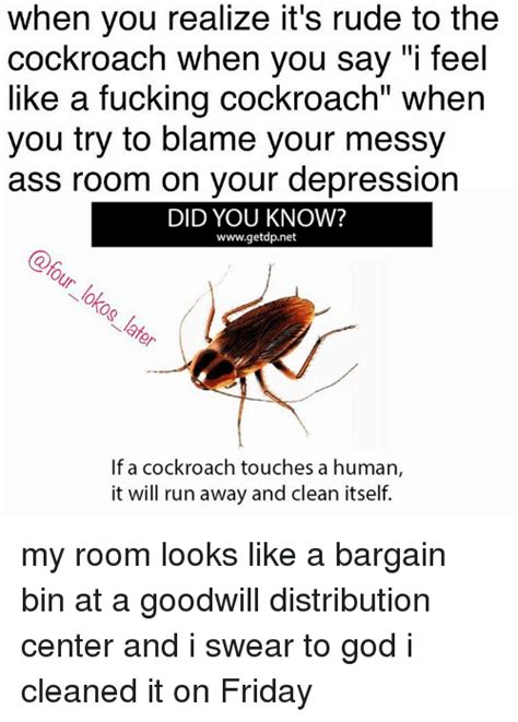 Well sometimes, the answer can be as since apartments are glued together, your living space will keep getting the same pest problem if your first you need to identify where they are coming from, then use either a natural remedy or. Why Do Cockroaches Run Away From Humans | Roach ...
