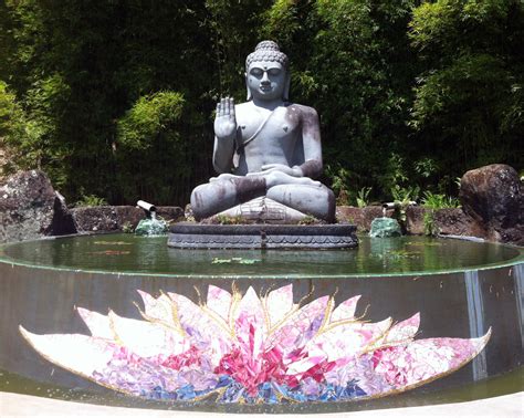 The lotus is a flower with a wealth of spiritual symbolism tied to egyptology lotus flower buddha quote photograph by chris scroggins. Lotus Flower Buddha Quotes. QuotesGram