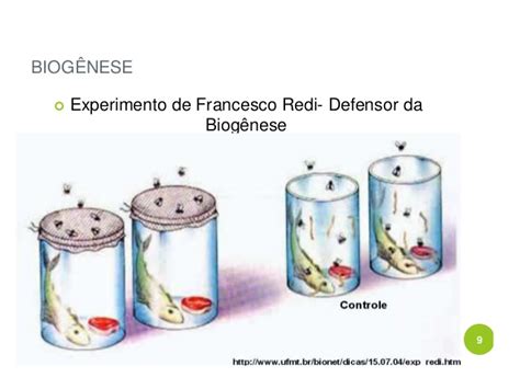 Biogenese er produktionen af nye levende organismer. Biogenese e abiogenese