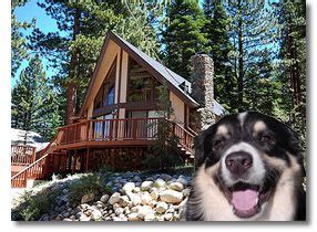 Book pet friendly vacation rentals in south lake tahoe! Pet Friendly Lake Tahoe Pet-friendly Vacation Rentals ...