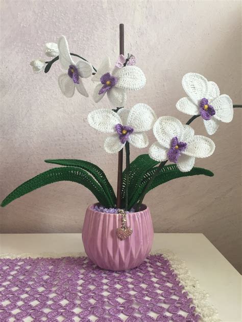 Foto circa fiori gialli dell'orchidea in giardino. Orchidea 5 fiori - Per la casa e per te - Decorare casa ...