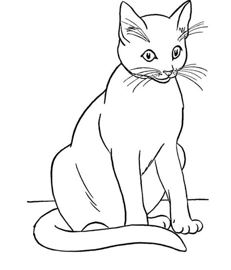 A large collection containing more than 100 black and white images for a boy or girl. The Unfortunate Cat Coloring Page | Cat coloring page ...