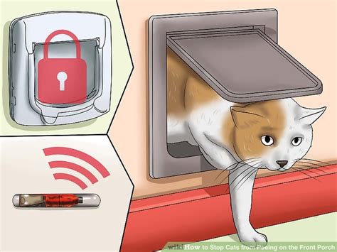 Get rid of the bird feeder, put a lid on the sandbox and keep tight fitting lids on the garbage cans. How To Keep Cats From Peeing In Your Garden - CatWalls