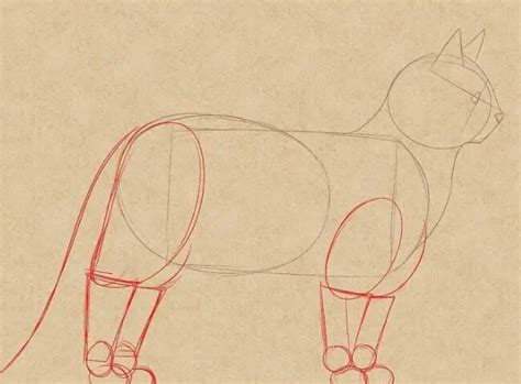 Sketsa seni garis kucing kucing putih mamalia hewan kucing. √ 50+ Cara Menggambar Hewan Kucing, Gajah, Kelinci, Ikan ...