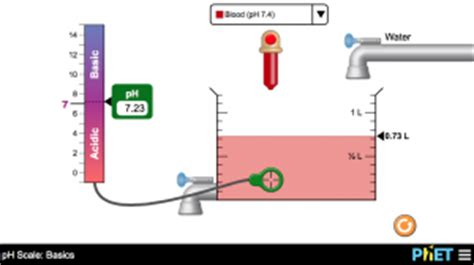 The properties of bases include true or false: PhET Blog » Blog Archive » New HTML5 ph Scale: Basics Simulation for Middle School Students