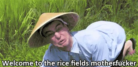 Something so amazing that it exceeds the requirements for nice and deserves an o. ; Welcome to the rice fields motherfucker | Filthy Frank ...