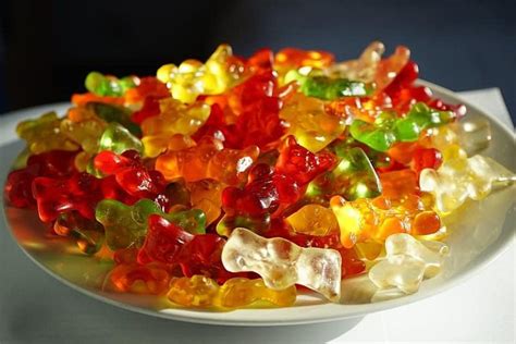 … according to wikipedia, some gummy bears are made with. Can Dogs Eat Gummy Bears