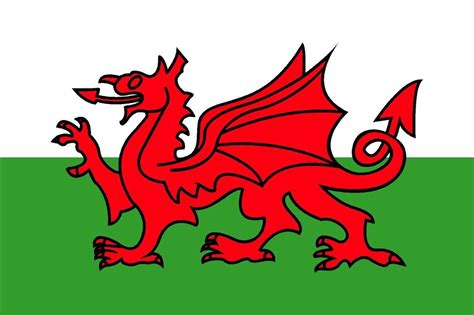Meaning and history of this flag can be gleaned through this historyplex article. Wales - The Welsh Dragon Flag 30 x 45cm | ChasNewensMarine