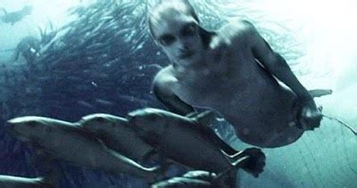 Bagikan kenangan mantanmu untuk semua orang. Gambar Foto Hewan: foto ikan duyung yang sebenarnya