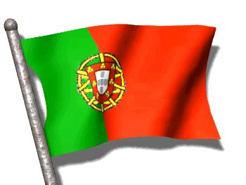 Bandeira barulhenta em um fundo transparente. Portugal GIF - Find & Share on GIPHY