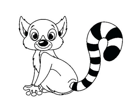 Download 3000+ pictures for free. Ring Tailed Lemur Coloring Page at GetColorings.com | Free ...