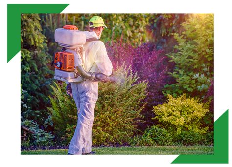 The pest management industry has gone away from certain material classifications such as organophosphates and carbamates. Green Pest Management - Pest Control Services In New ...