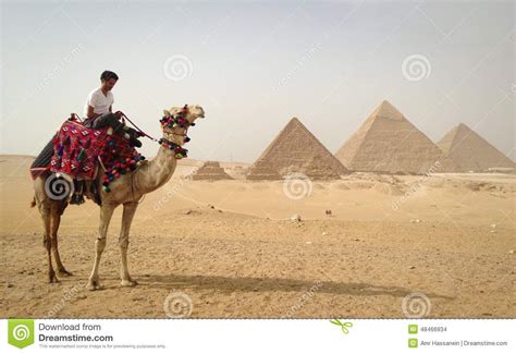 They've put a brassiere on a camel shel silverstein. Pin on Love to Travel