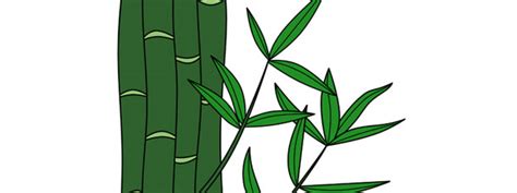 Looking for a good deal on bamboo cut? Bamboo Cut Out - Large