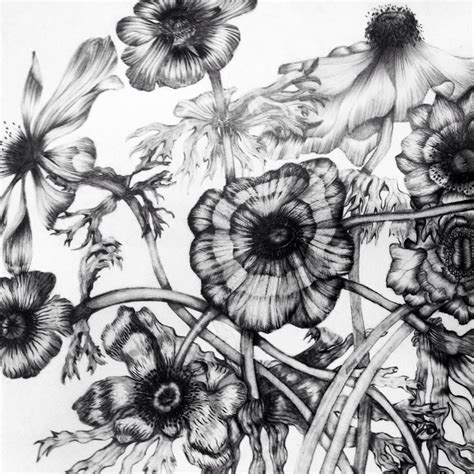 In the 1960s the government decided to complete parliament house, which had only been partly built between. Anemones pencil study by Christine Lawes. | Drawing ...