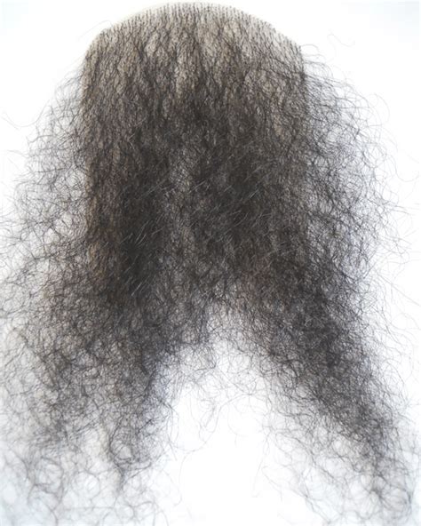 Let it grow or let it go? Merkin Synthetic Pubic Hair Black Wig by Lacey Costume ...