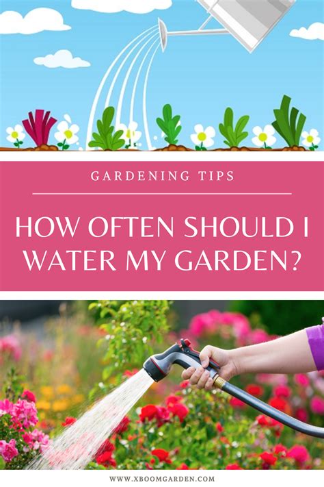 Put your finger an inch or two into the soil. How Often Should I Water My Garden? in 2020 | Gardening ...