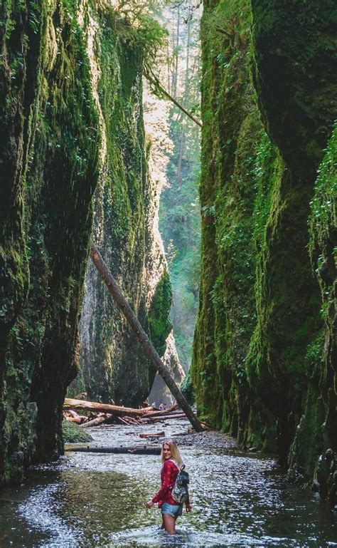 The content relating to real estate for sale on this web site comes in part from the idx program of the rmls™ of portland, oregon. The incredible Oneonta gorge by Portland, Oregon. from Fun ...