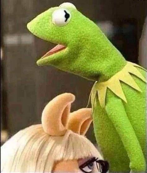 Find the perfect kermit the frog stock photos and editorial news pictures from getty images. Pin on miscellaneous