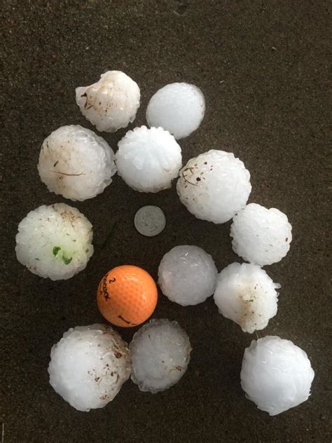 With 487 miles of natural shoreline, the lake has natural caves, a variety of trees and plant life and limestone bluffs. Northwest Arkansas-- @5NEWSJoe: Large hail on Beaver Lake ...