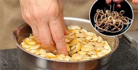 Tutti i sintomi di un intestino pieno di parassiti, e cosa ...